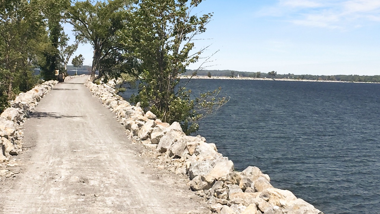 Photo of Others in Malletts Bay