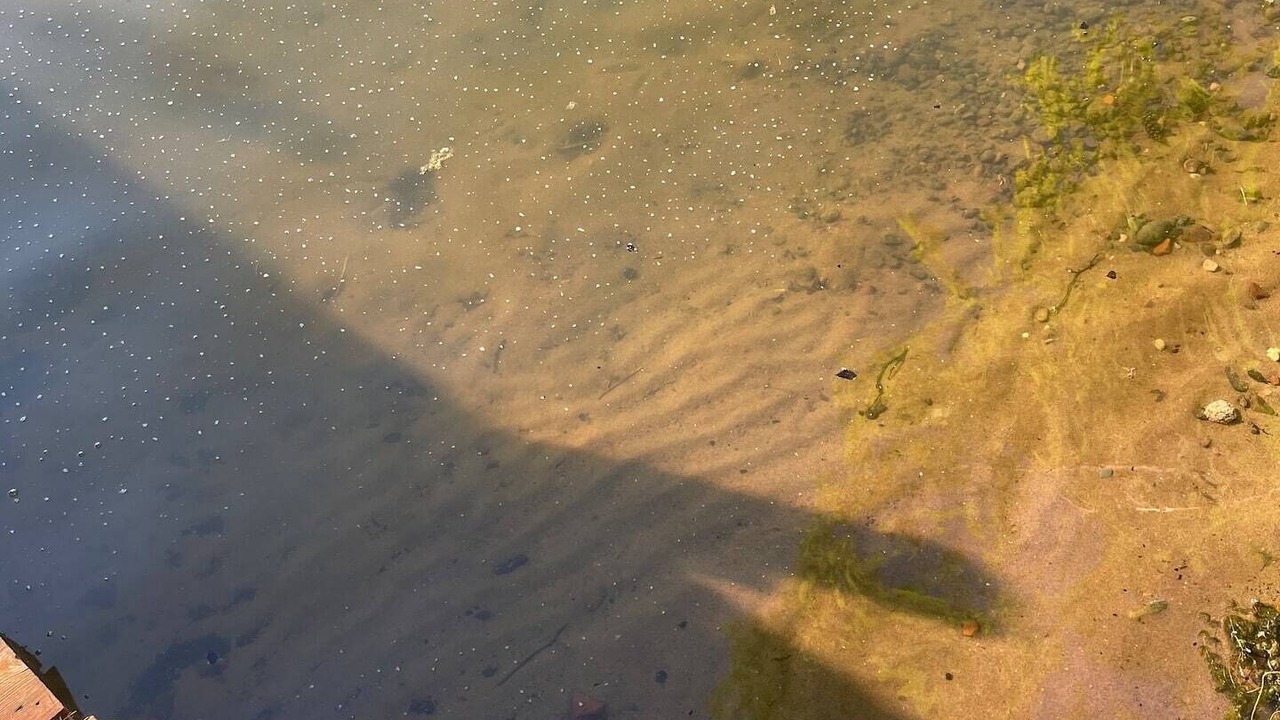 Photo of Others in Shell Lake