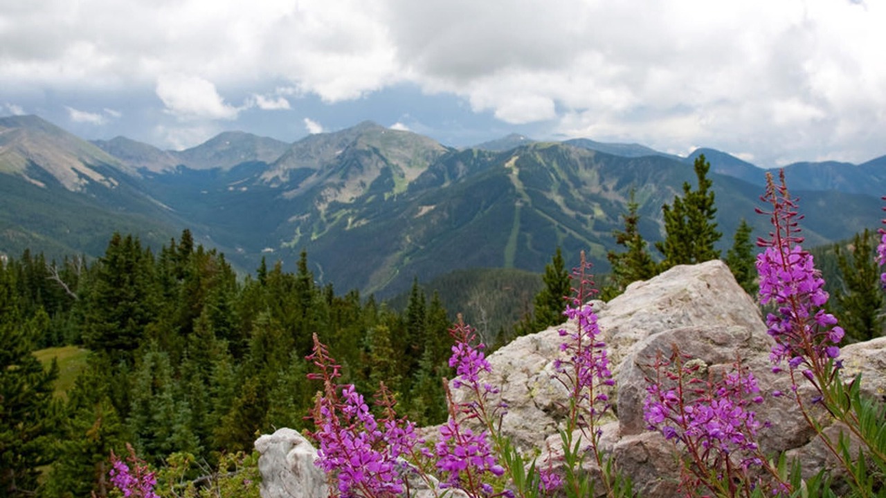 Photo of Outdoor in Taos