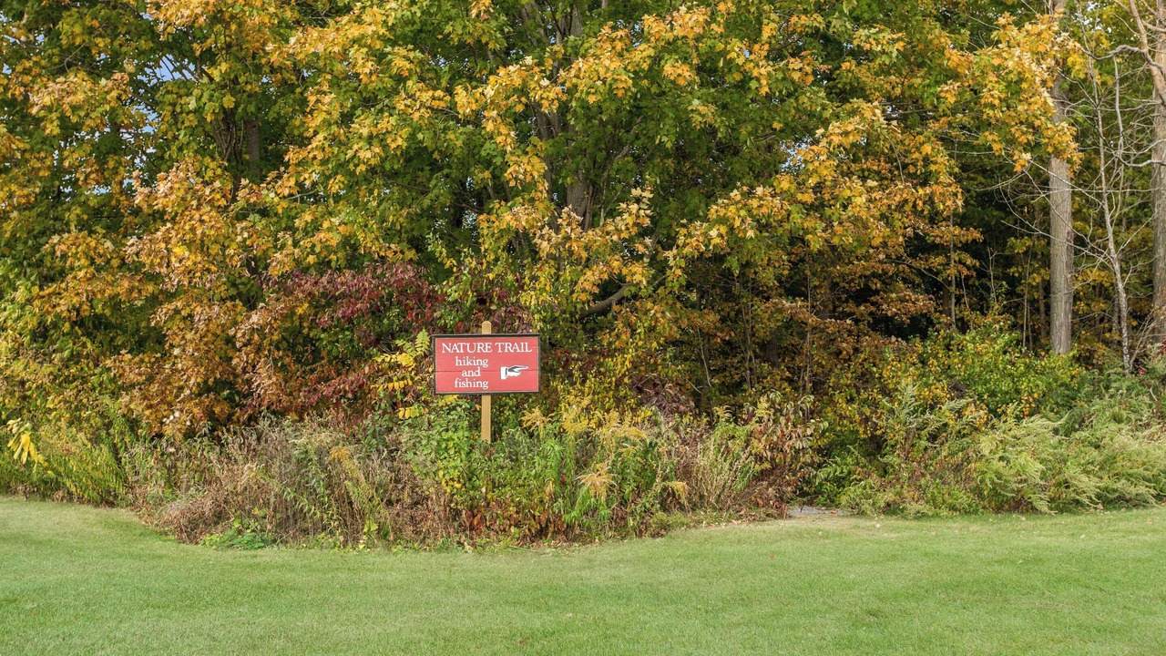 Photo of Outdoor in Manchester Center
