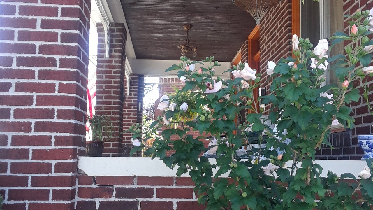 Photo of Outdoor in Leechburg