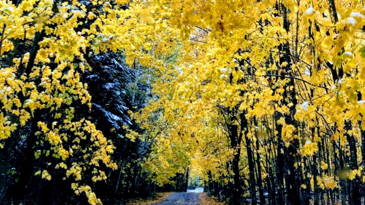 Photo of Outdoor in Phelps