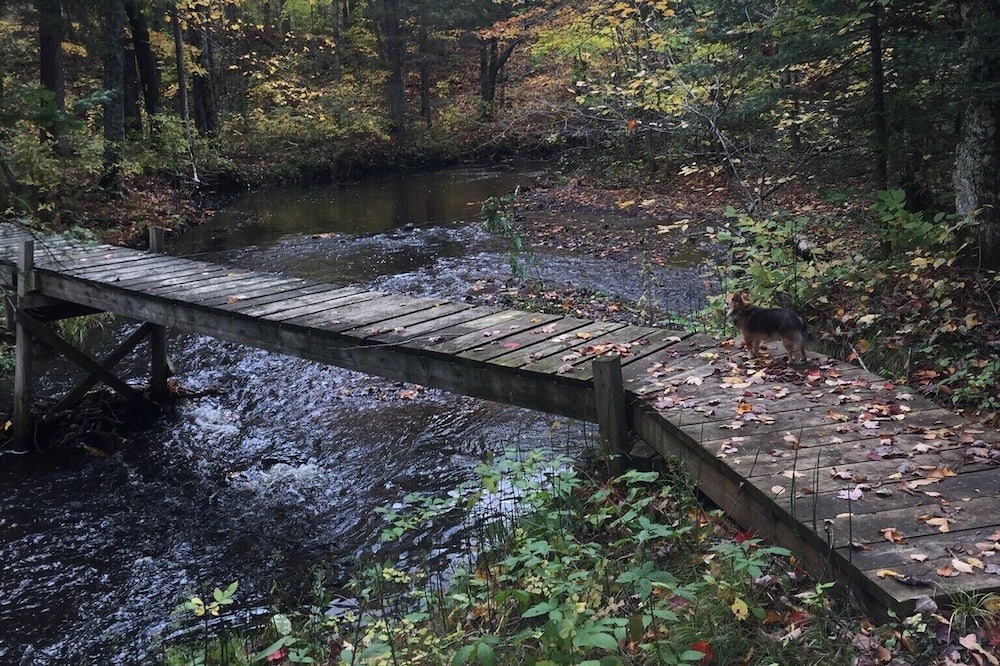 Photo of Others in Weyerhaeuser