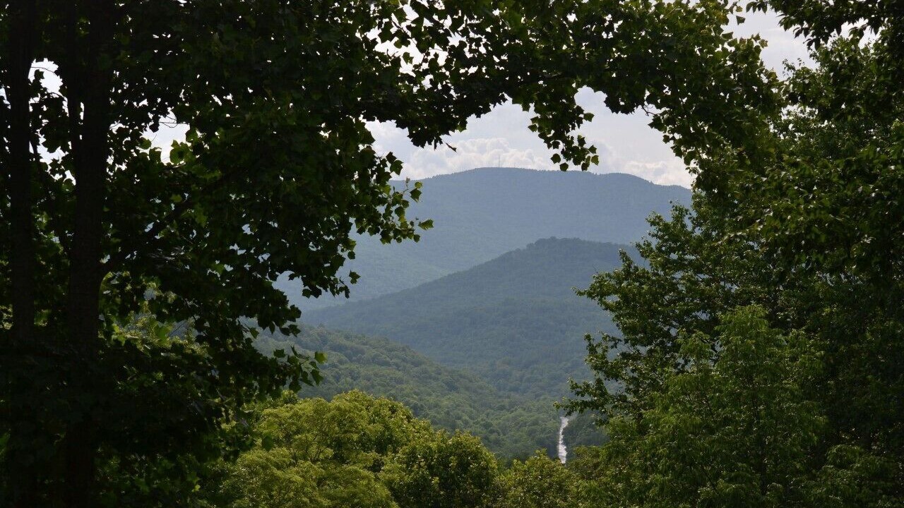 Photo of Outdoor in Slaty Fork