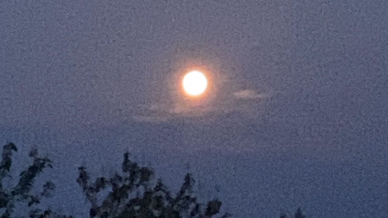 Photo of Others in Meador