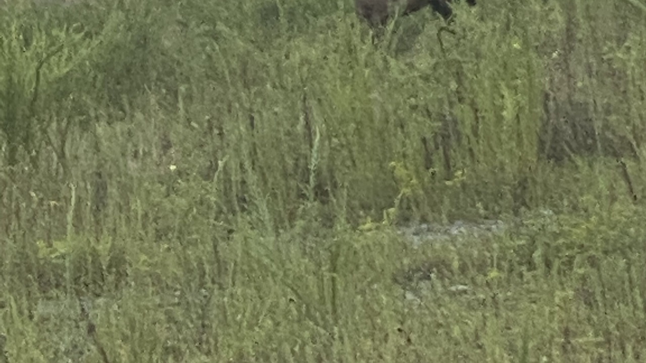 Photo of Others in Meador