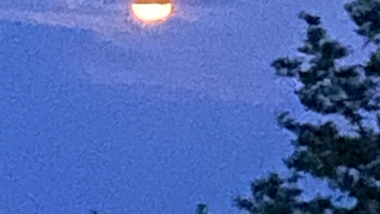 Photo of Others in Meador
