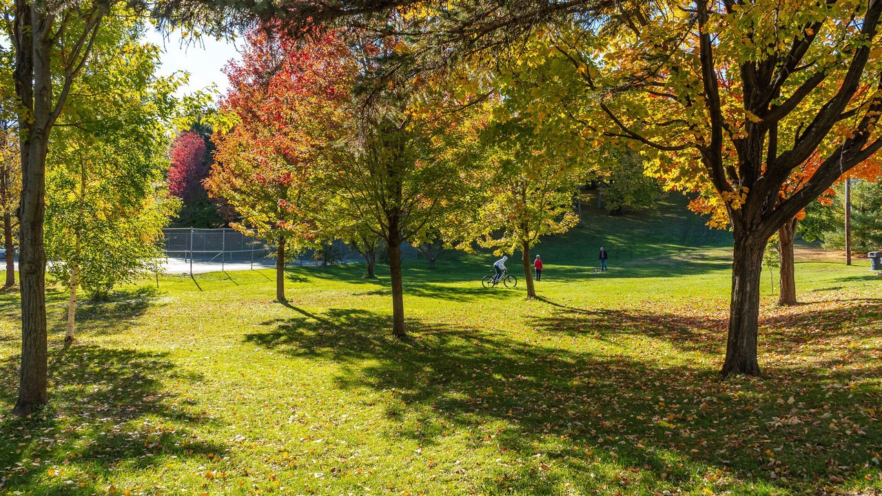 Photo of Outdoor in Kingfield