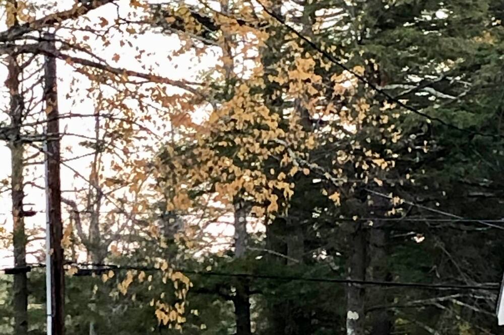 Photo of Outdoor in Otis