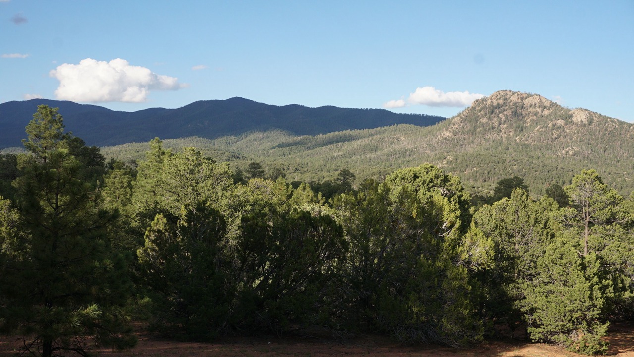 Photo of Outdoor in Canada de los Alamos