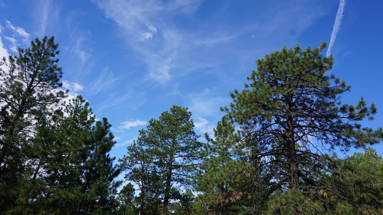 Photo of Outdoor in Canada de los Alamos