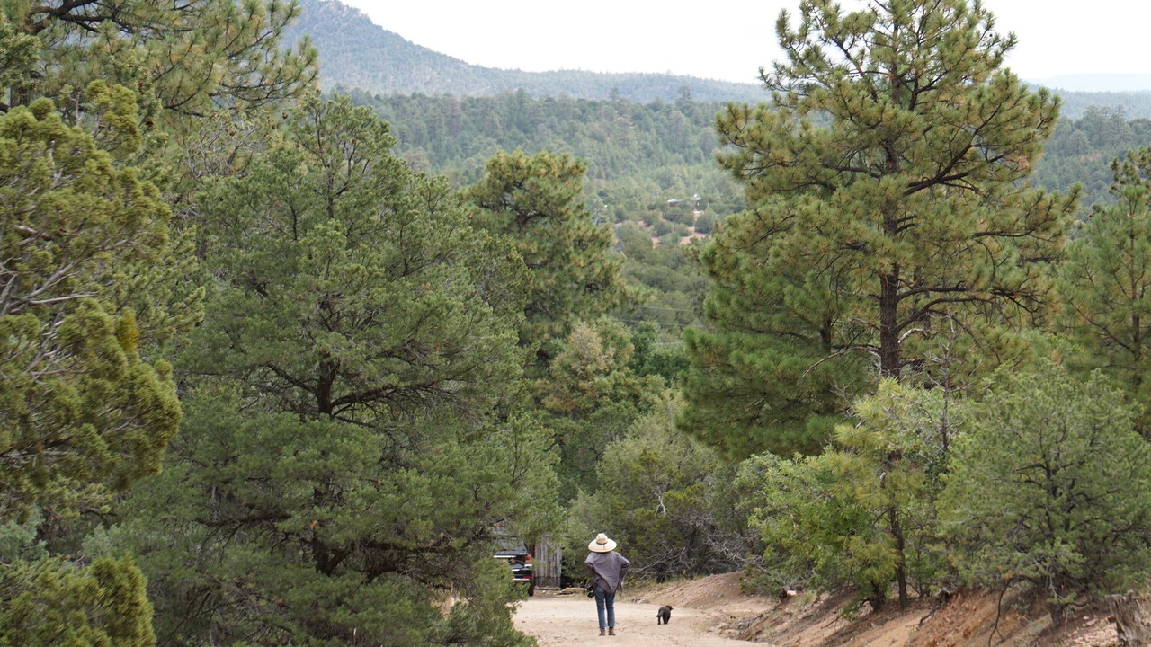 Photo of Outdoor in Canada de los Alamos