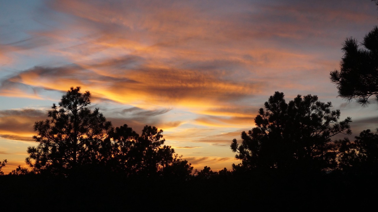 Photo of Outdoor in Canada de los Alamos