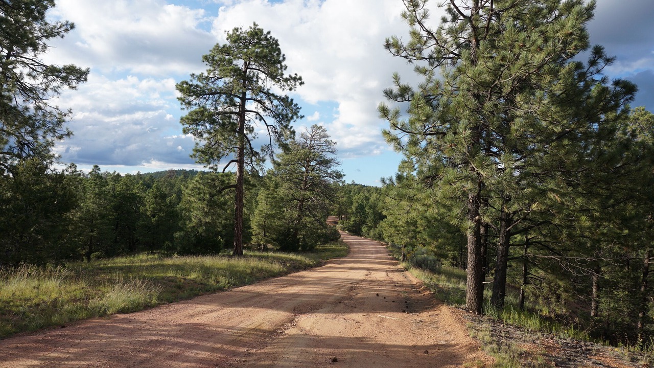 Photo of Outdoor in Canada de los Alamos