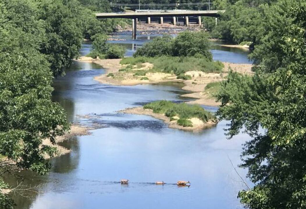 Photo of Outdoor in Black River Falls