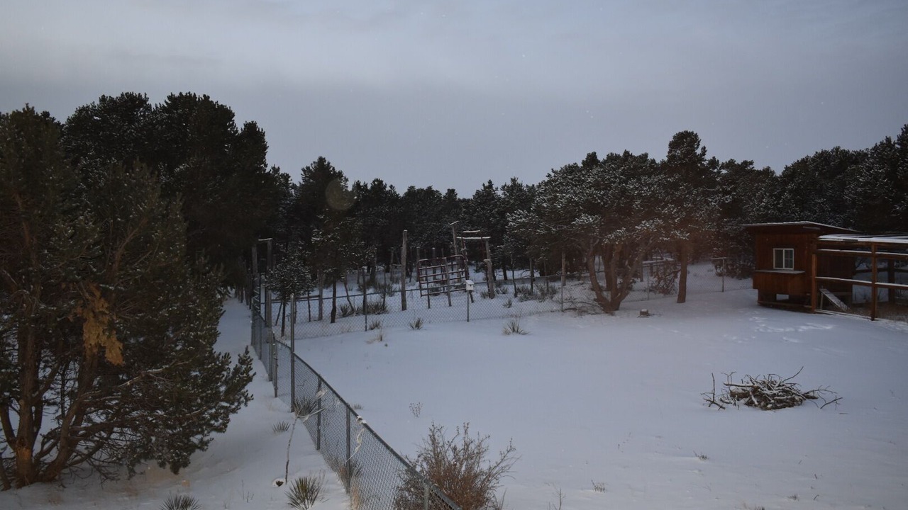 Photo of Others in Alpine Village