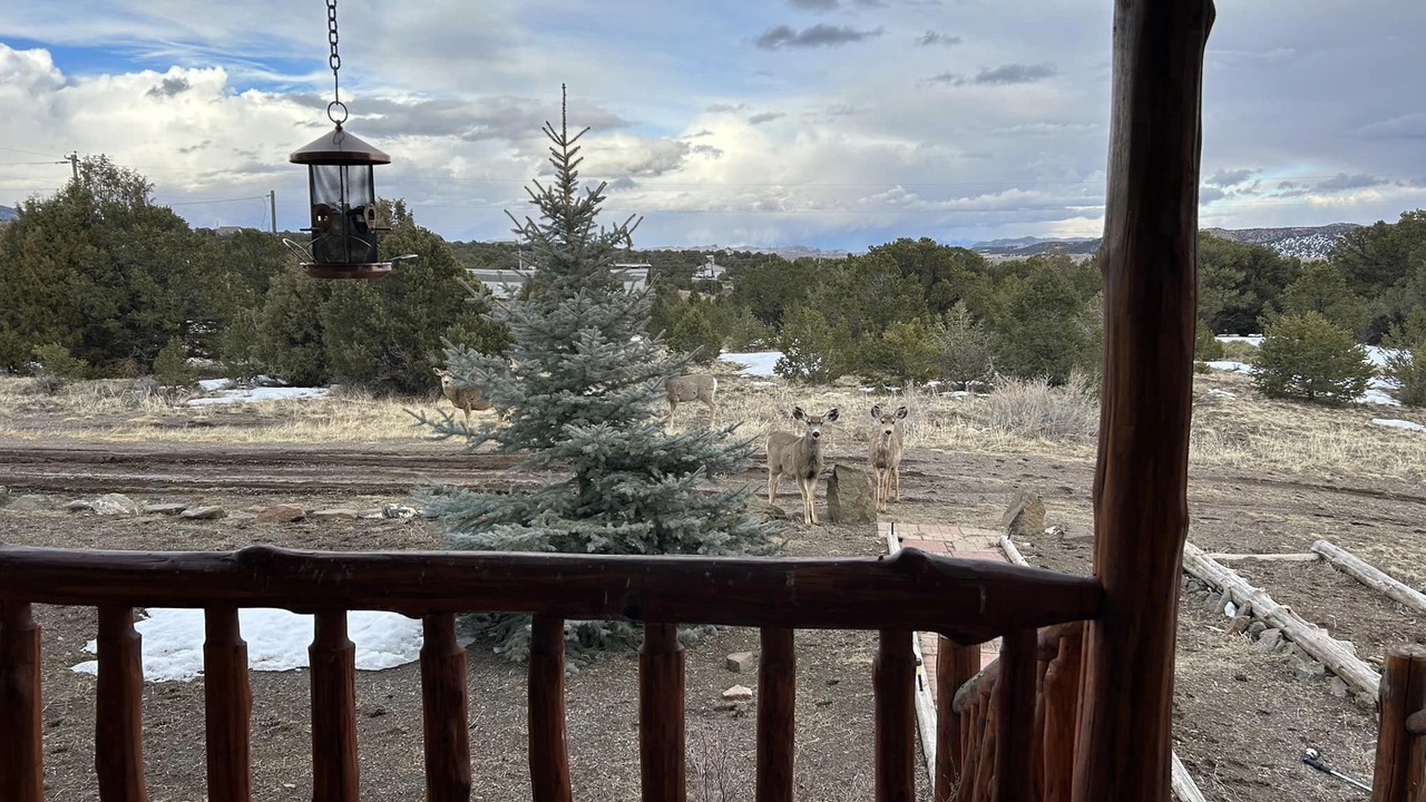 Photo of Outdoor in Alpine Village