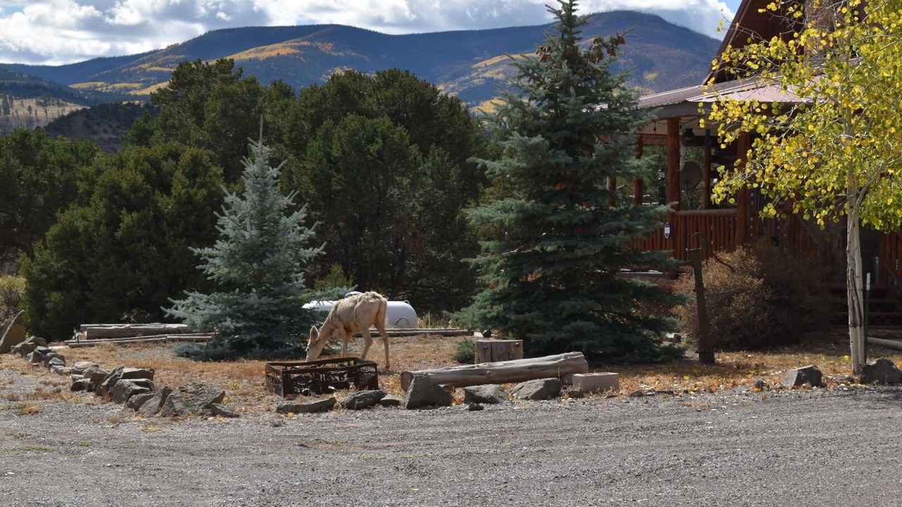 Photo of Outdoor in Alpine Village