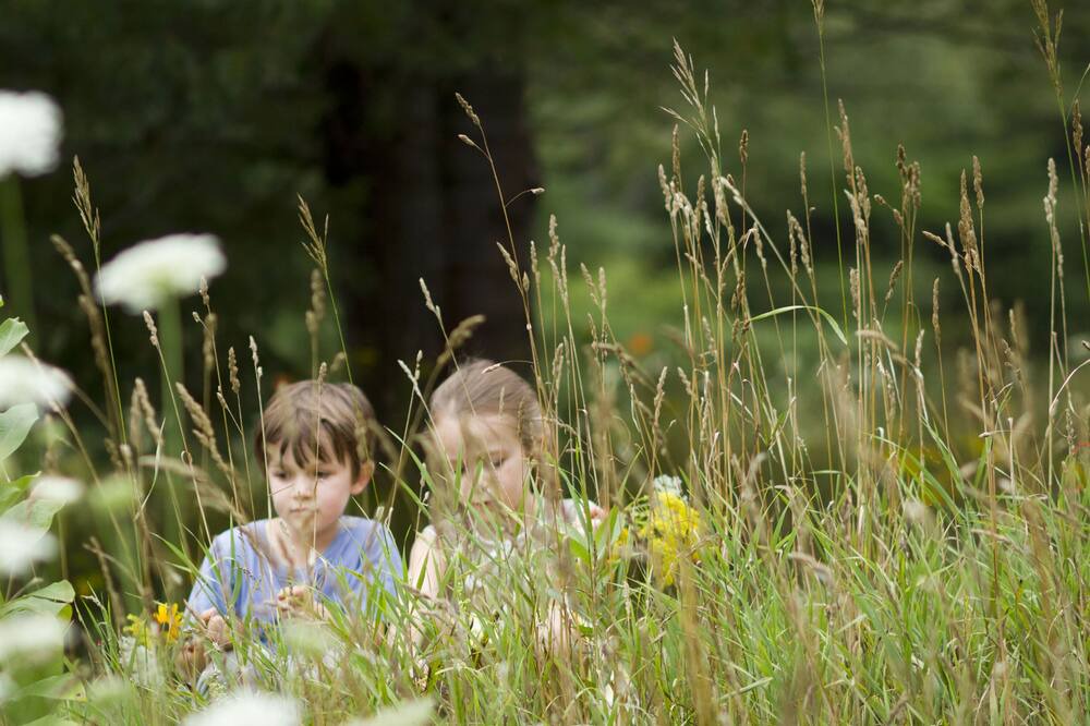 Photo of Outdoor in Woodstock