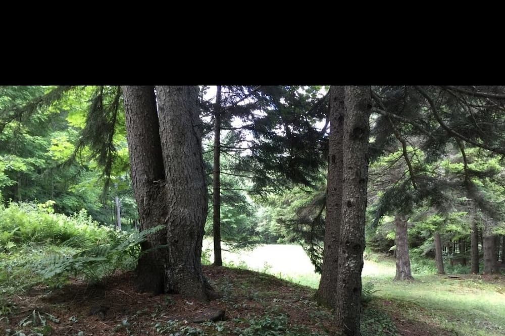 Photo of Others in Braintree