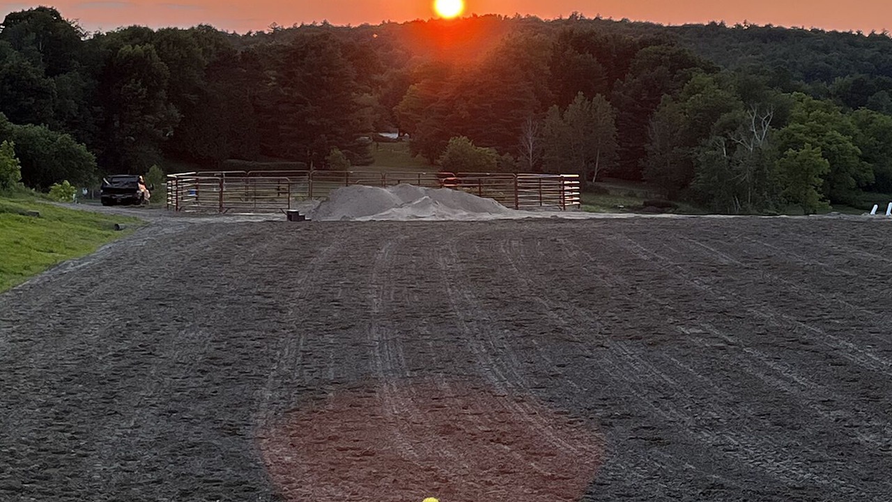 Photo of Outdoor in Colchester