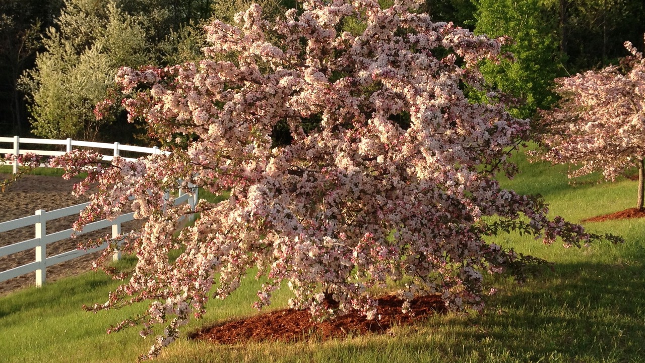 Photo of Outdoor in Colchester
