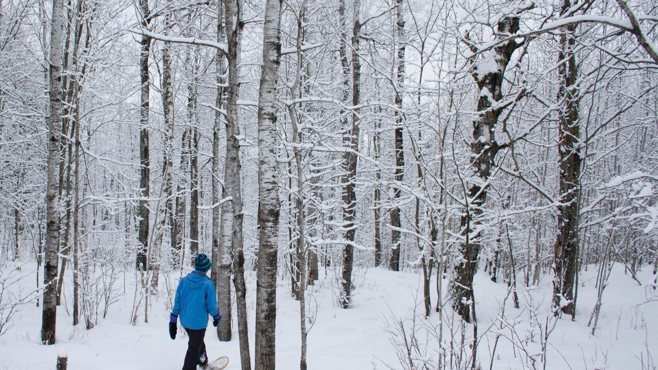 Photo of Others in Grand Marais