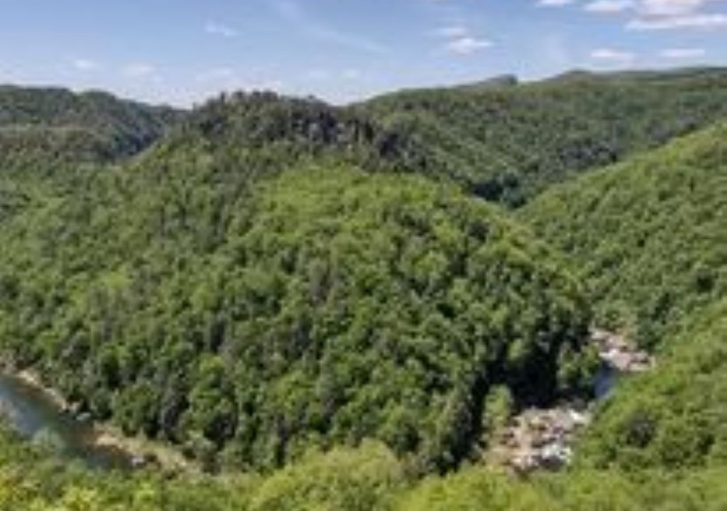 Photo of Outdoor in McClure