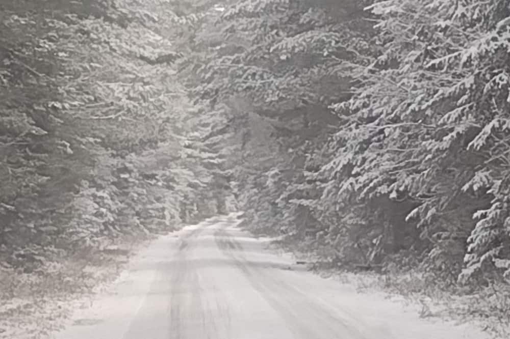 Photo of Others in Forestport