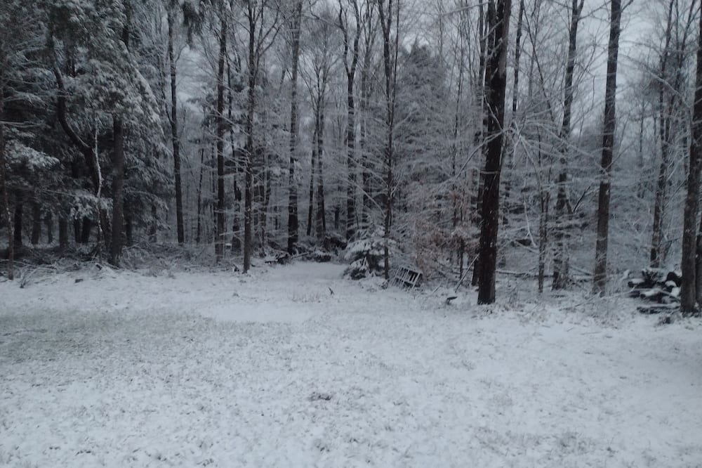 Photo of Others in Forestport