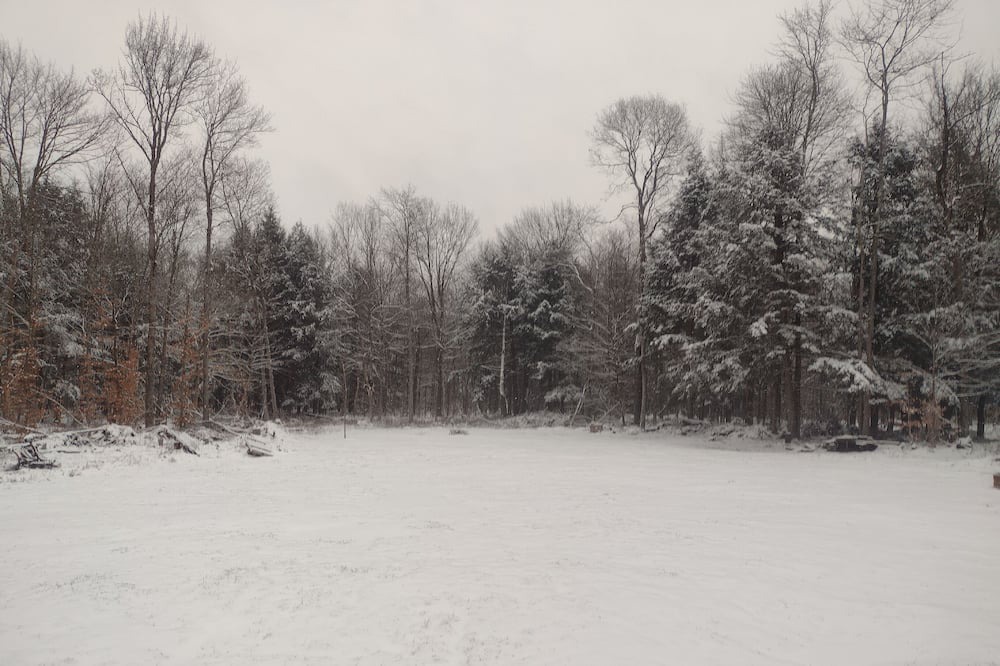 Photo of Others in Forestport