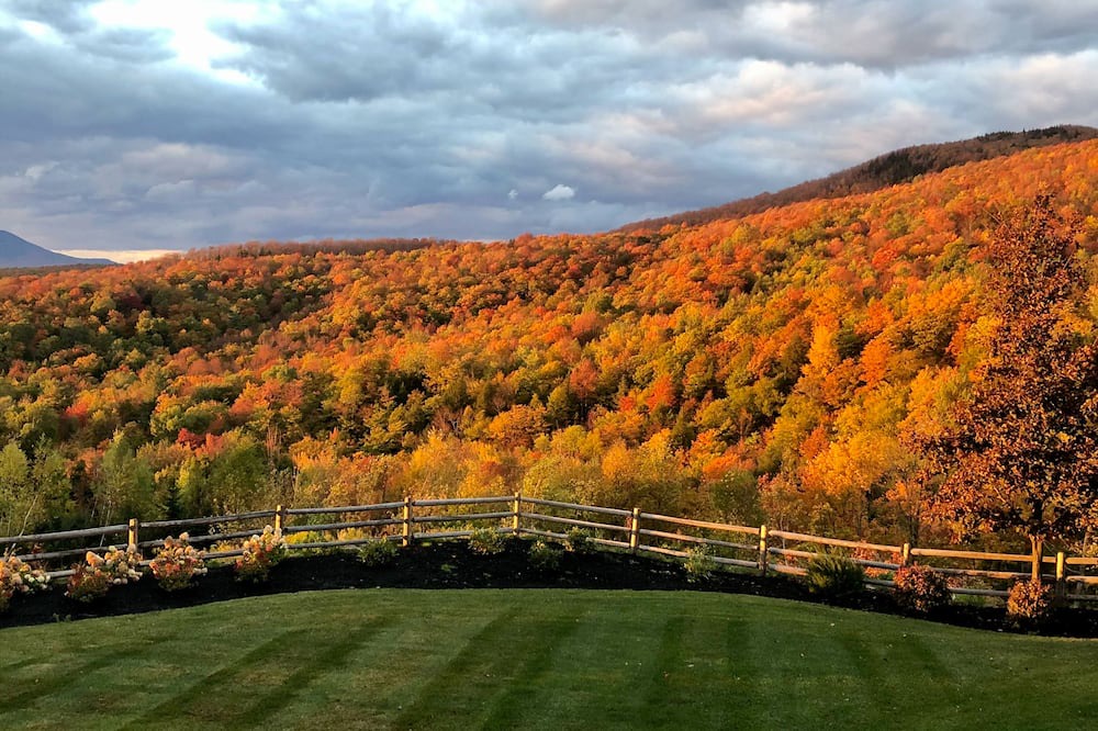 Photo of Others in Stowe Hollow