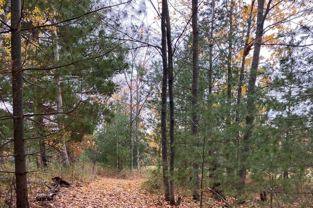 Photo of Outdoor in Siren