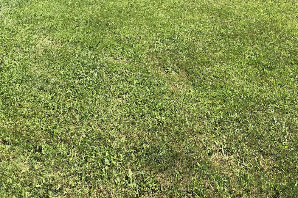 Photo of Outdoor in Barton