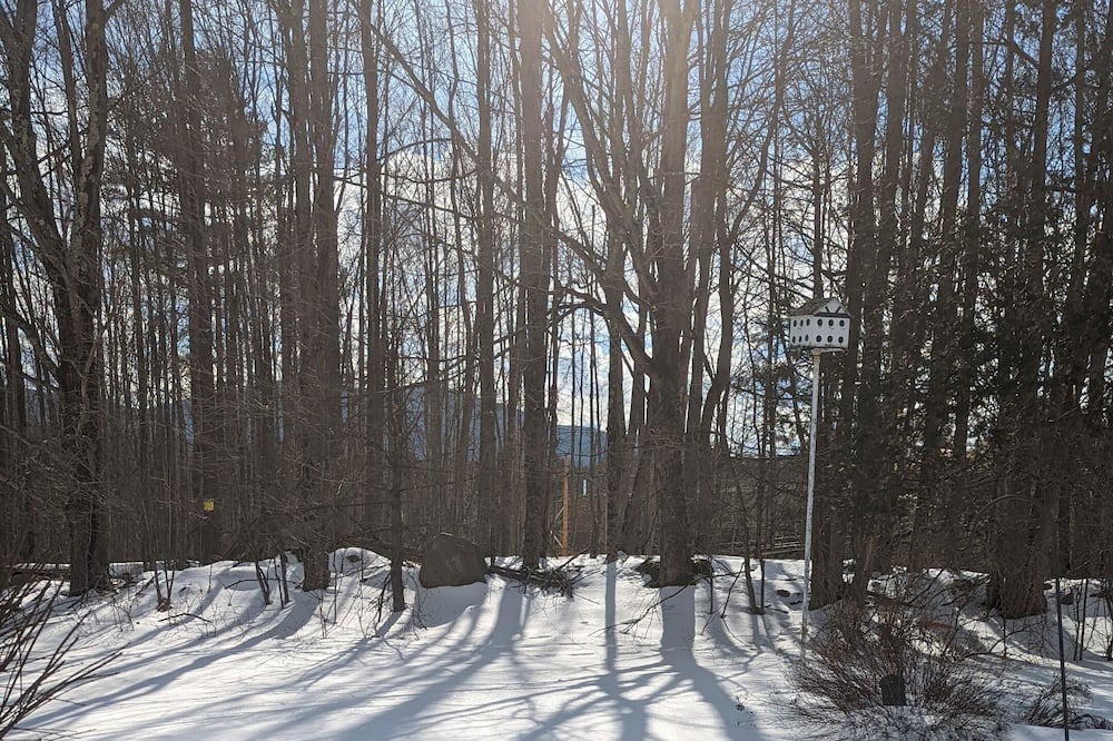 Photo of Others in East Haven  Rutland County