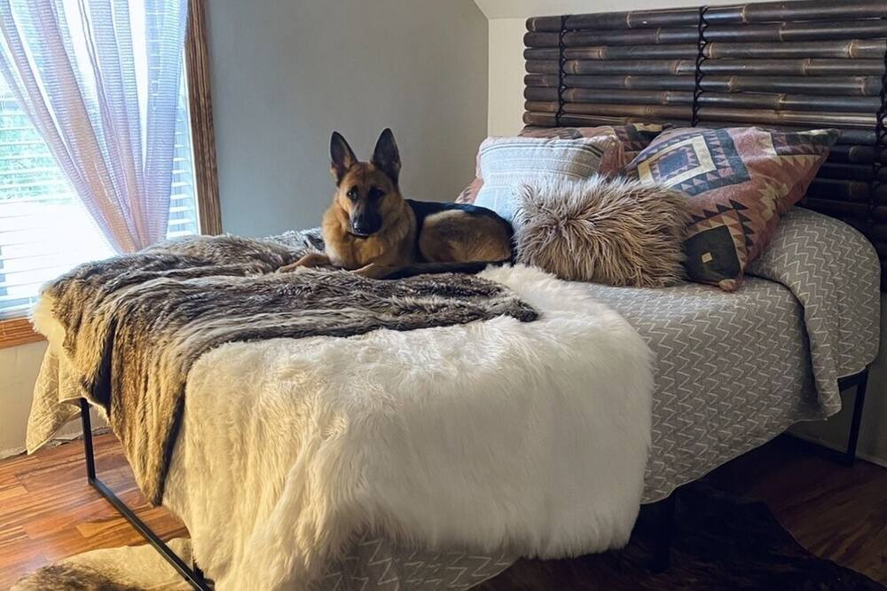Photo of Bedroom in Osseo