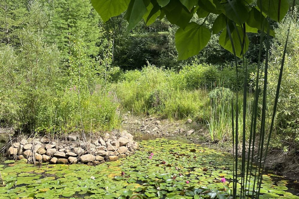 Photo of Outdoor in Essex