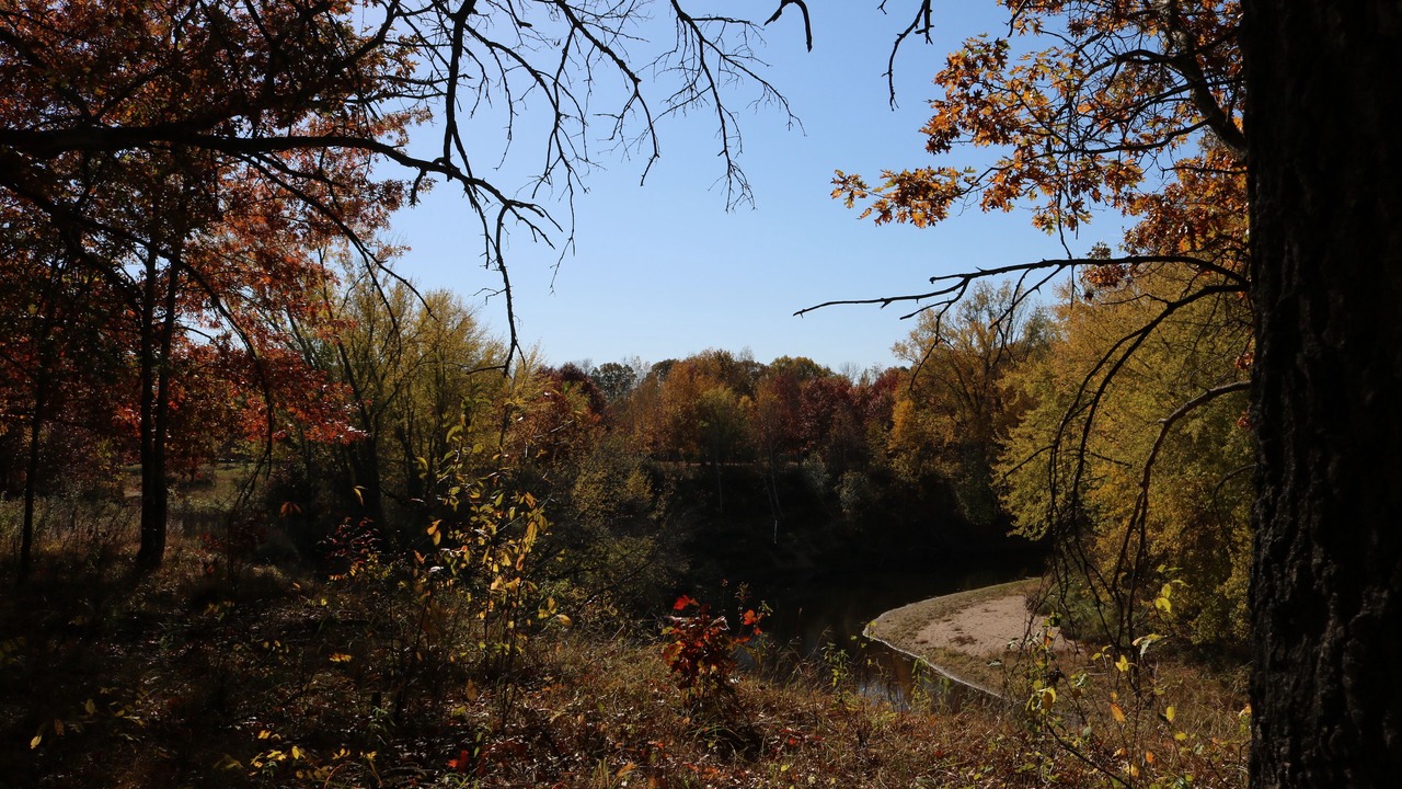 Photo of Outdoor in Cambridge