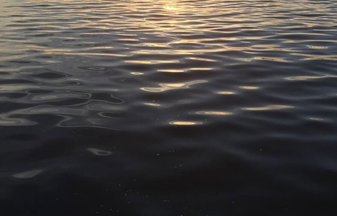 Photo of Others in Pentwater