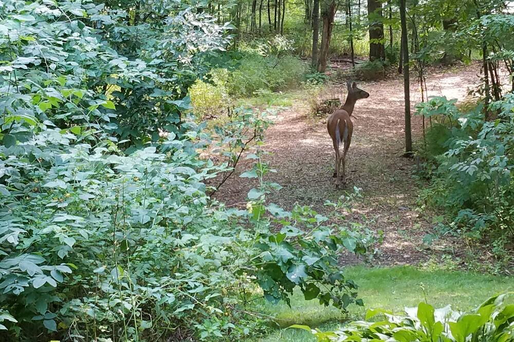Photo of Others in Tainter Lake