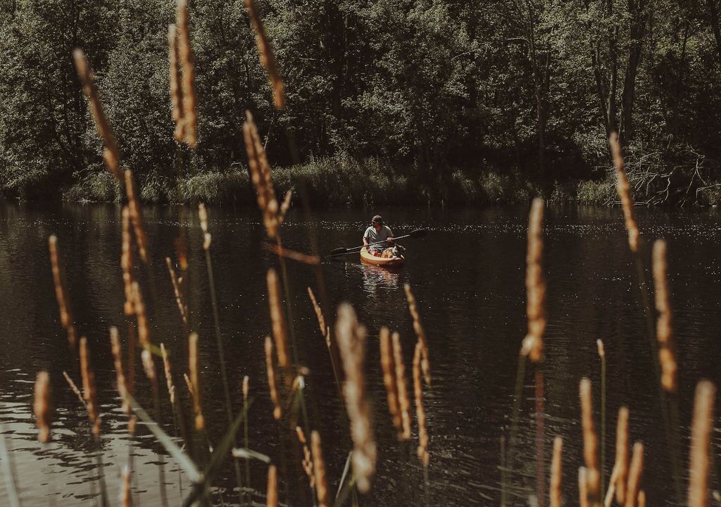 Photo of Others in Brook Park