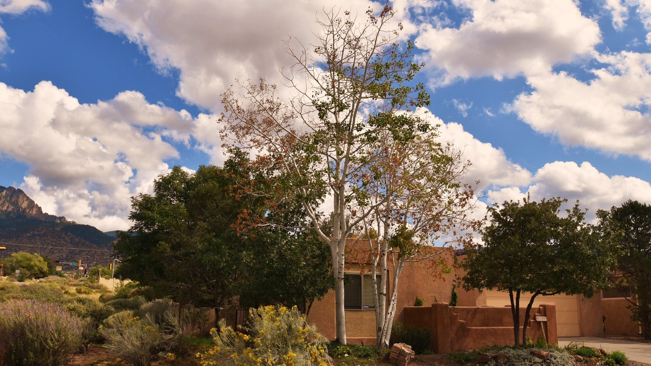 Photo of Outdoor in Northeast Heights