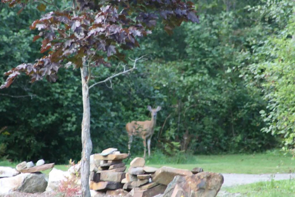 Photo of Outdoor in Newport