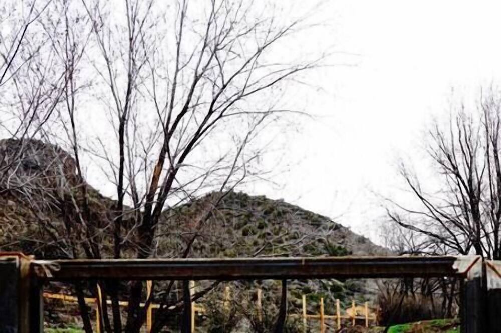 Photo of Outdoor in Pilar