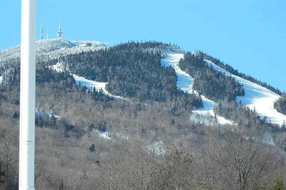 Photo of Others in Stowe Area