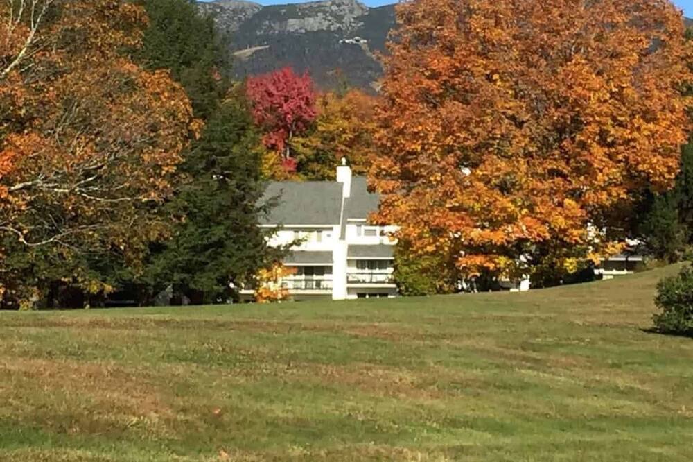 Photo of Outdoor in Stowe Area