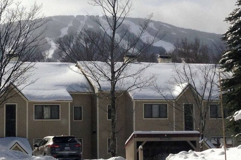 Photo of Others in Stratton Mountain