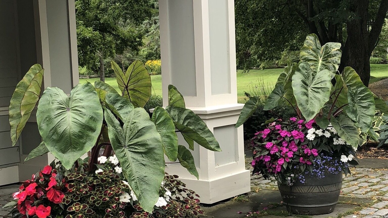 Photo of Outdoor in Charlotte