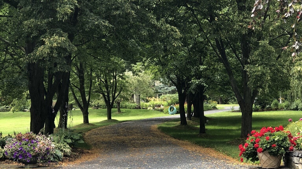 Photo of Outdoor in Charlotte