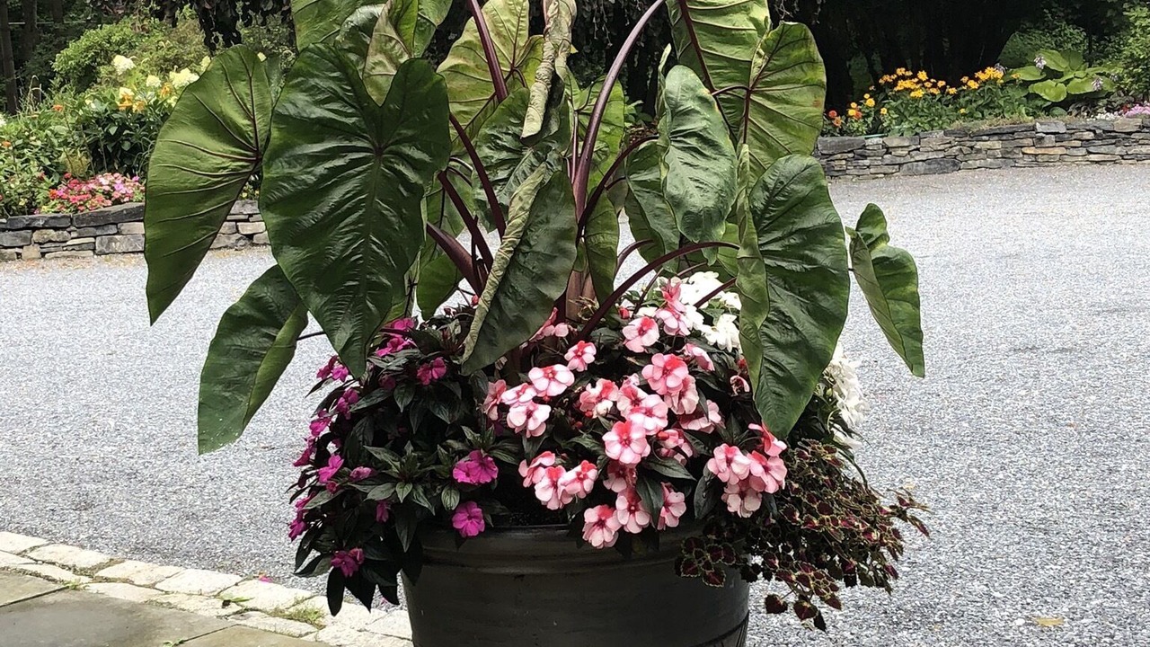 Photo of Outdoor in Charlotte